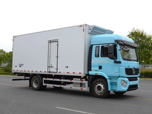 6.9米陕汽德龙L5000冷藏车